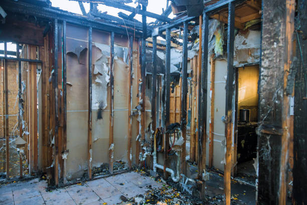 Professional Fire Damage Removal technician working in Carver, MN