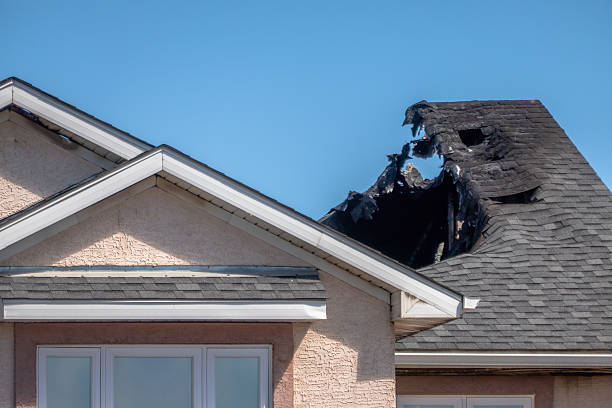 Top rated local Fire Damage Removal specialists in Carver, MN